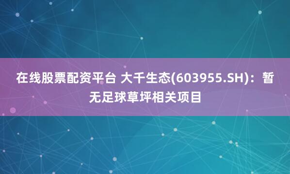 在线股票配资平台 大千生态(603955.SH)：暂无足球草坪相关项目